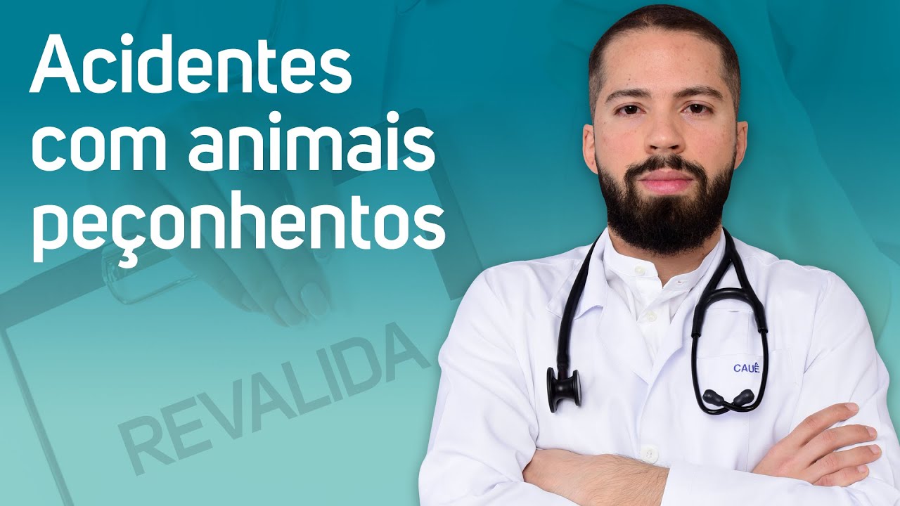 Acidentes com animais peçonhentos
