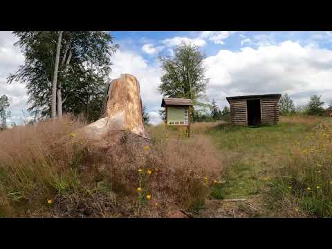 Stempelstelle Selkenfelder Schanze - Burgen und Schlösser - Harzer Wandernadel