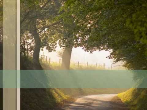 Healing In This House video