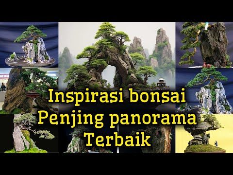 Inspirasi bonsai penjing panorama terbaik #viral #diy #bonsai