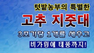 [텃밭농부. 1,297]  텃밭농부의 특별한 고추지줏대. 비가림 부터 태풍까지 견딘다! #고추재배 #지주대 …