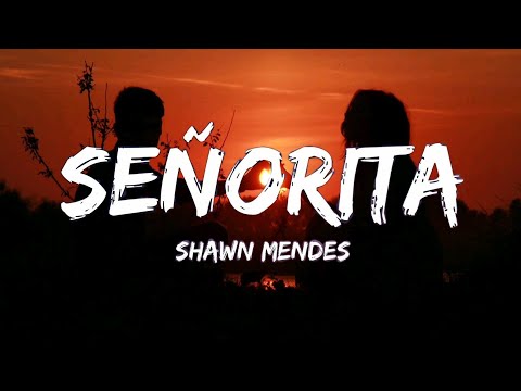 Shawn Mendes, Camila Cabello - Señorita (Lyrics)