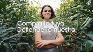 因應關稅衝擊 西班牙鉅額應急併形象片振民族自信