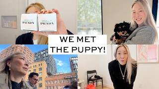 A Week at The Cottage 🌲 Puppy cuddles, NYC & Luxury Outlet Shopping!