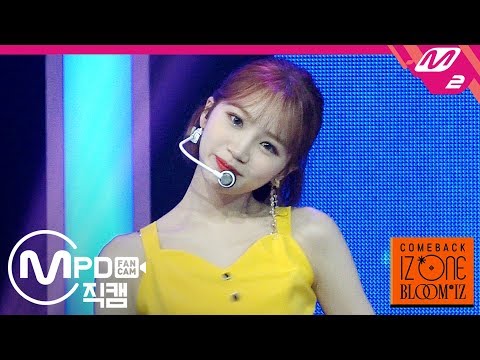 아이콘