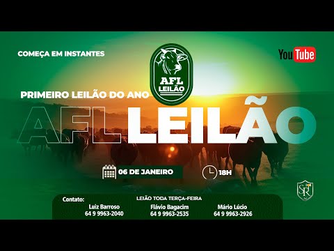 AFL Leilões - Leilão do Trevo de acesso a Caçu-GO 06/01/2026 LEILÃO 1181