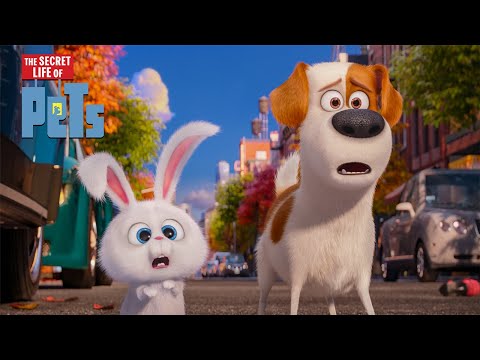 What Adventures Do Your Pets Get Up To?! 🐶 🦴 🐾 | Secret Life of Pets | Extended Preview