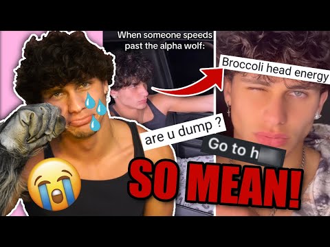 Reacting to my Hate Comments (very mean!!!)