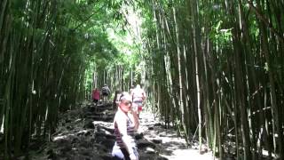 preview picture of video 'Hiking up Pipiwai Trail thru Bamboo Forest ending at Waimoku Falls in Haleakala NP, Maui'