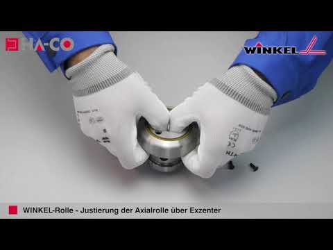 WINKEL-bearing axial eccentric adjustable