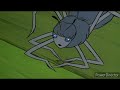 Charlotte S Web Ou Le Petit Monde De Charlotte Célibataire