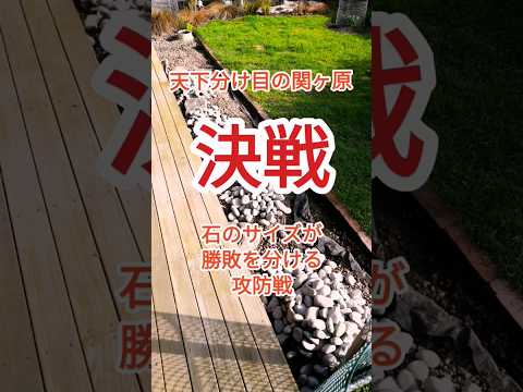 鶏は雪の中に行けるのか？彼らはそれを恐れているのでしょうか？最初に考慮すべき5つのこと!  庭園