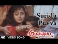 Anthapuram Movie Suridu Puvva Video Song Sai Kumar Jagapathi Babu Soundarya