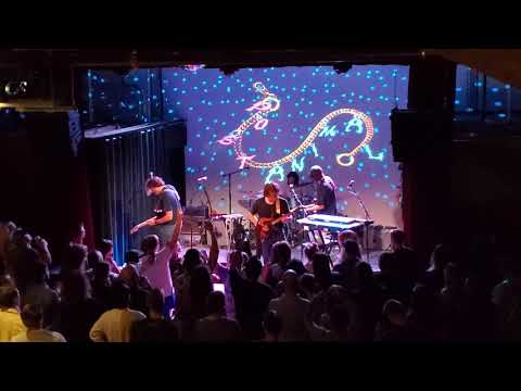Post Animal - Dirtpicker | Live at xBk | 6/8/22