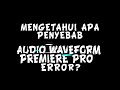Fix Adobe Premiere Audio | Audio Waveform Error