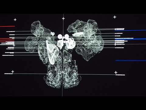 Ryoji Ikeda's data-verse 1 @ The 58th International Art Exhibition, Venice