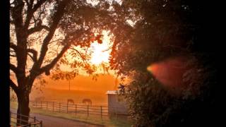 Jerry Jeff Walker - Rodeo Wind