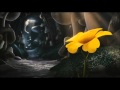 Horton Hears A Who 2008 Main