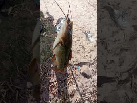 laguna del sauce Maldonado Uruguay