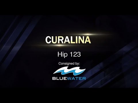 Curalina: November Sale Featurette (2016)