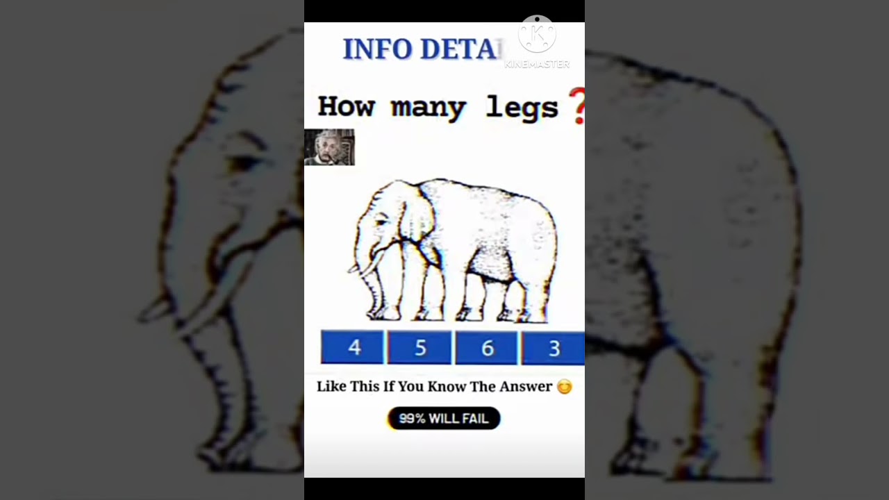 #math quiz video elephant