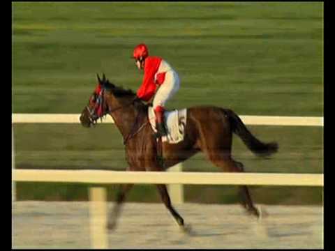 Lovasutánpótlás Kupa VI. futam HP 1600m