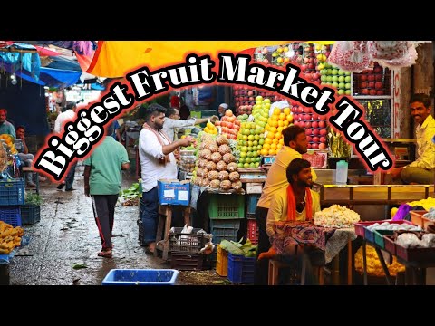 Biggest Fruit Market of Pakistan 2023 | Karachi Sabzi Mandi 2022@VCL Mohib Khan