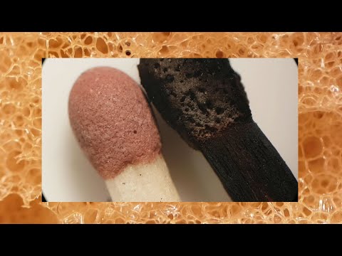 Microscope: Sponge, Matches, Pencil & More!