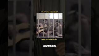 Download lagu FAKTA DAN PENIPUAN LAGU CINTA 3 SEGI #shorts #cintatigasegi #perangkapcinta #storyyelling mp3