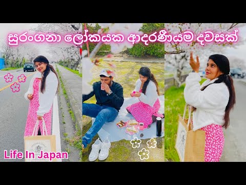 Day In The Life🇯🇵🌸| ජීවිතයම දැන් සුරංගනා ලෝකයක්♥️|Cherry Blossom Picnic🧺|Life In Japan|Meal Prep