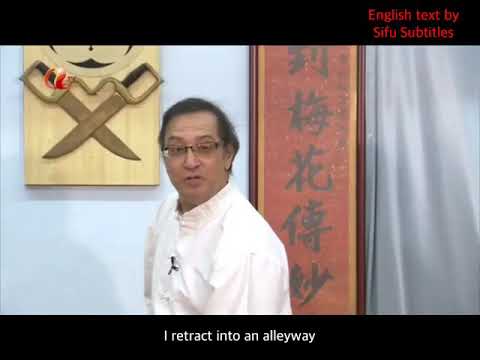 Leung Ting on Wing Tsun’s Luk Dim Boon Gwan Pole Form principles (English subtitled)