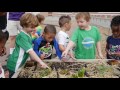 Community Garden Project