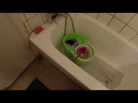 MongoTV_5135 - Del 1 - VASKER SHORTS OG UNDERBUKSER EN VARM SOMMERDAG LØRDAG