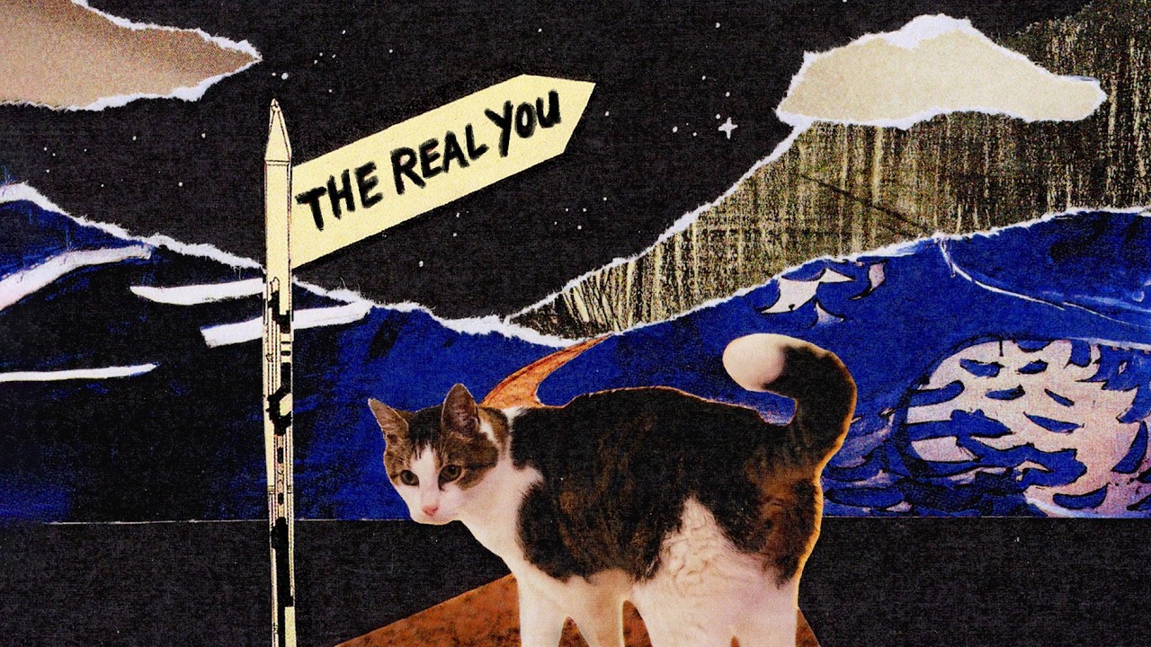 Mixed media film about my cat – 'The Real You'