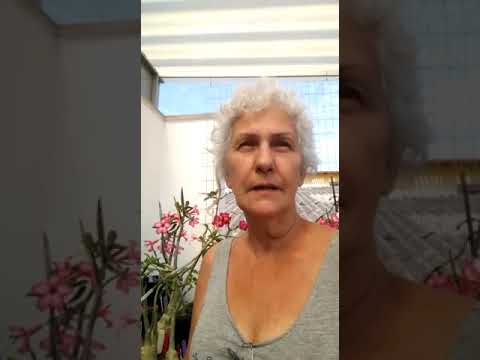 Assistir vídeo