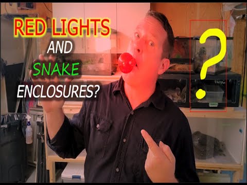 YouTube video about: Are snakes attracted to light?