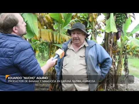 Eduardo "Nucho" Aquino, productor de banana y mandioca en Laguna Naineck, Formosa