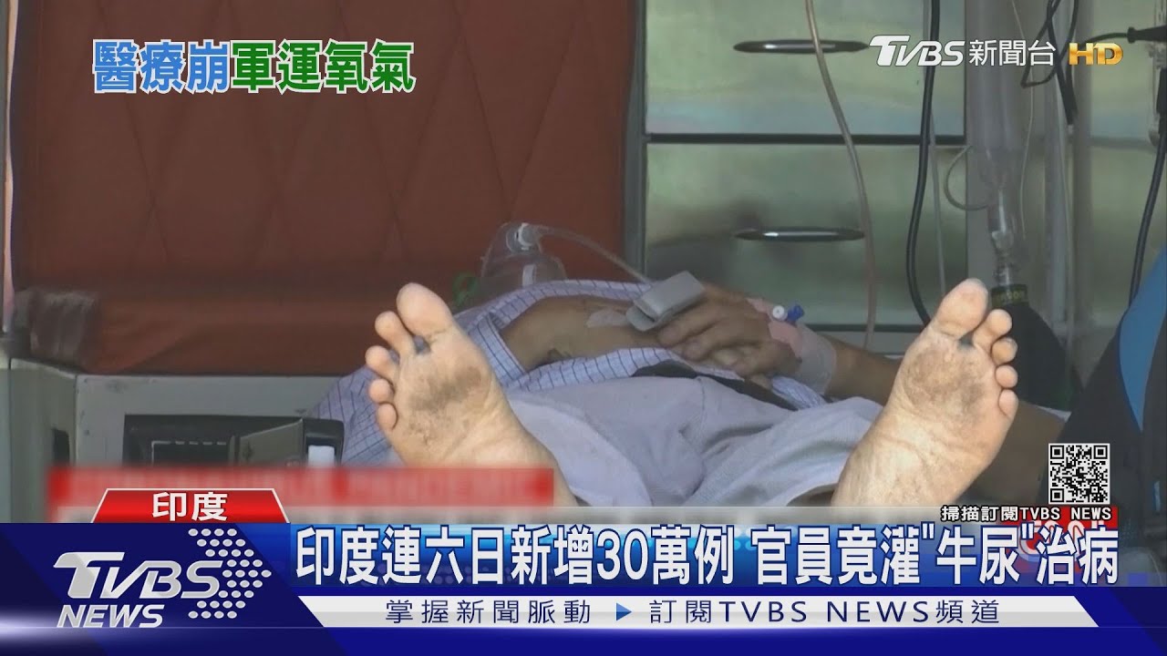 印度連六日新增30萬例 官員竟灌「牛尿」治病