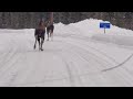 moose slip and slide