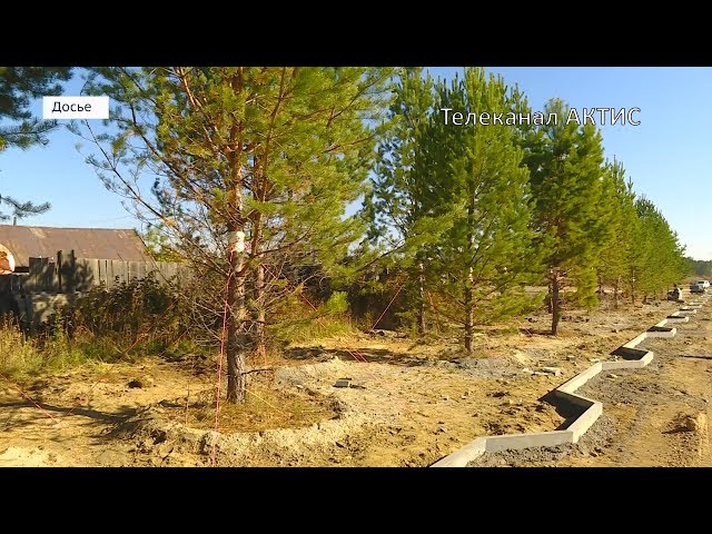 В Ангарске высадят больше двух тысяч деревьев