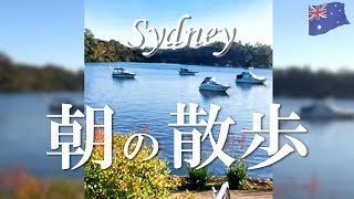 【Sydney朝の散歩】Kiraとお散歩してみる？休日の朝はこんな風にお散歩しています。住人ならではのお話は必聴！