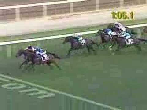 Jockey Douglas Whyte achieves 1,000 wins