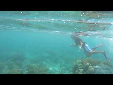 Indonesia/Flores - Komodo Island Snorkelling Part 1:3