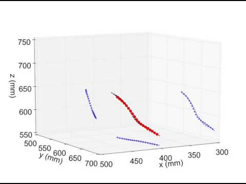 3D Trajectory of a Monarch butterfly flight