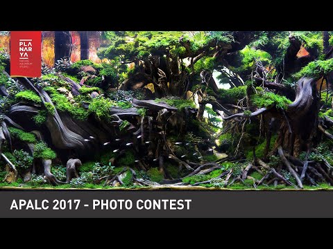 AQUASCAPE PHOTO CONTEST - APALC 2017