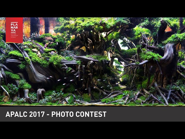 AQUASCAPE PHOTO CONTEST - APALC 2017