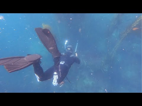 Catch and Cook at Catalina Island