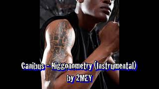 Canibus - Niggonometry (Instrumental) by 2MEY
