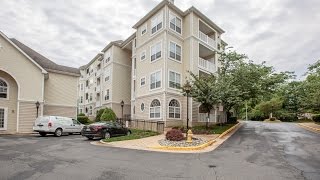 4560 Strutfield Lane Unit 1105, Alexandria VA 22311