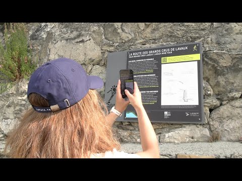 La Route des Grands Crus de Lavaux